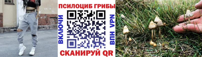 ОМГ ОМГ рабочий сайт  Тетюши  Псилоцибиновые грибы Cubensis  купить  сайты 